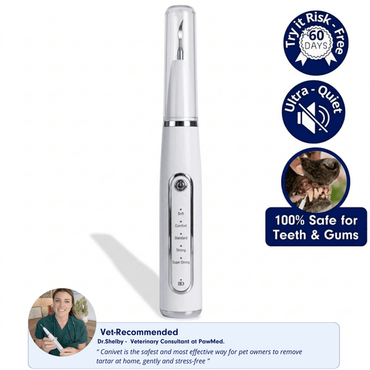 Canivet Kit - Silent Ultrasonic Plaque & Tartar Remover for dogs